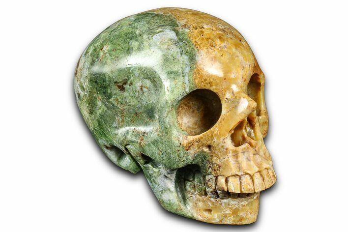 Realistic Autumn Jasper Skull #382113
